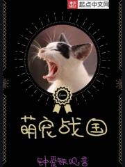 你让我看什么节目啊