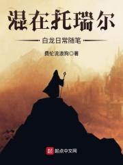 冰山总裁的贴身高手叶辰
