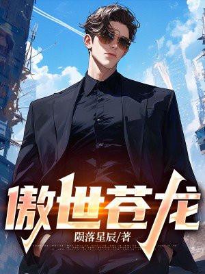 官场步步高升 官神 布衣官道