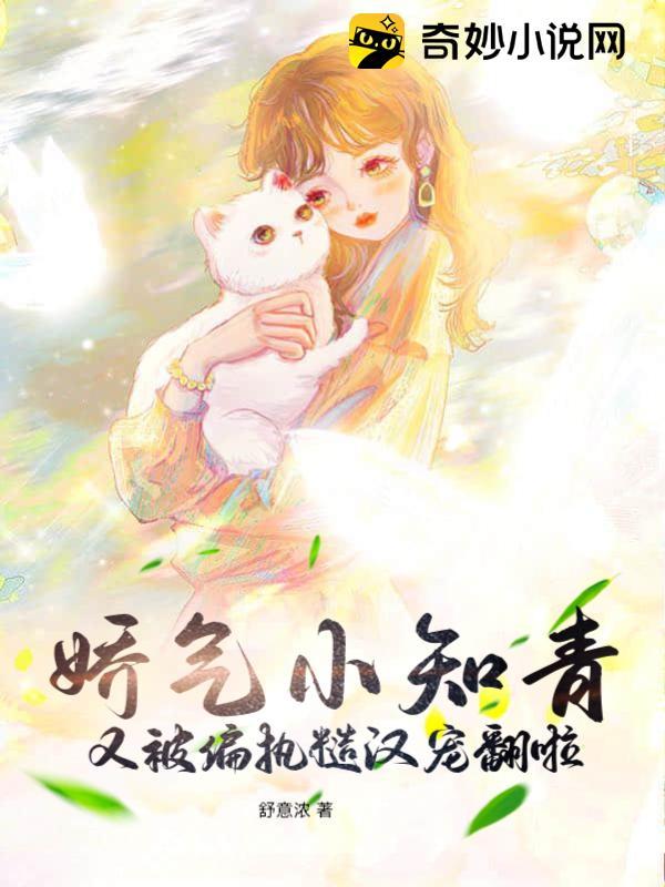 叶锋张雪免费阅读