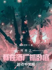 桑夏沈岸全文免费
