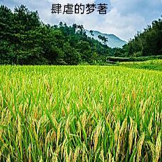 小师妹穿越