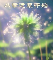 女主叶安宁