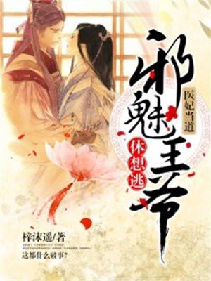 南笙陆珩免费