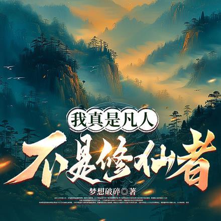 不如不相思破解版