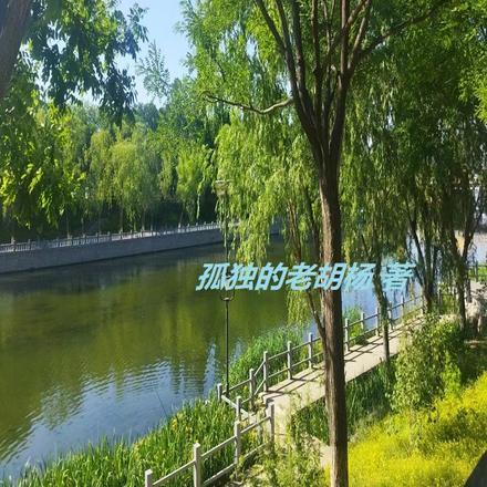 孙传庭是忠臣吗