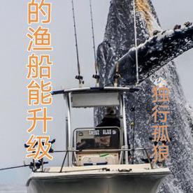 躺平系统
