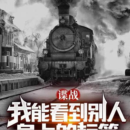 和首长大人闪婚了txt