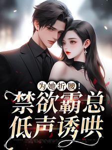 总裁又去追妻了