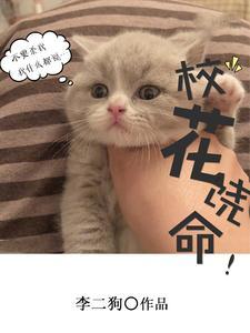 为什么修仙世界没有科技