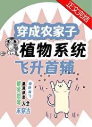 顾念陆司遇免费阅读无弹窗