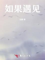 顾警官我真的不是卧底晋江