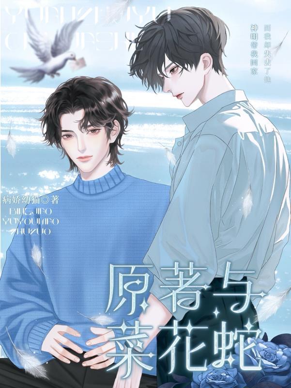 六界仙尊兑换码大全