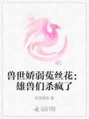 穿越成为魔法师 朝天官