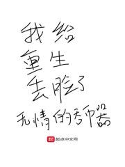 穿越成为魔法师TXT