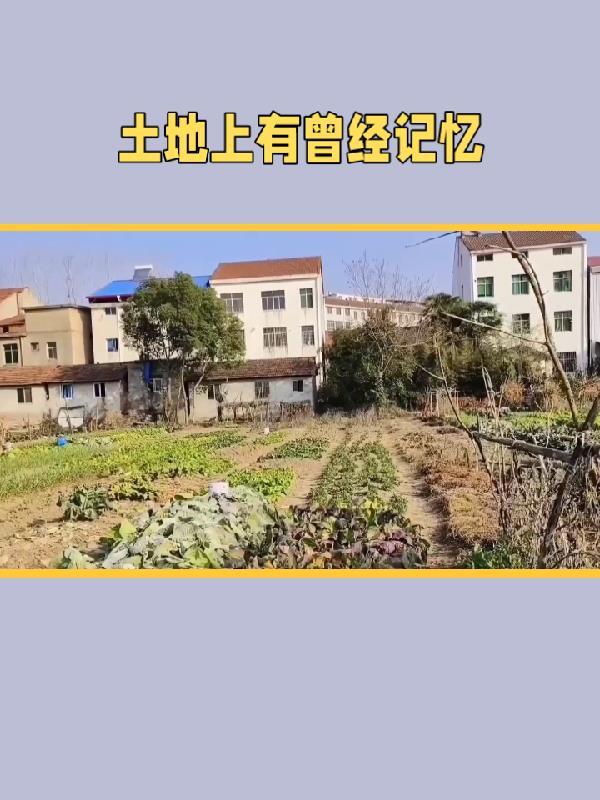 大魏武霸