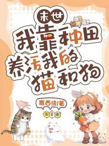 回档2008怎么样
