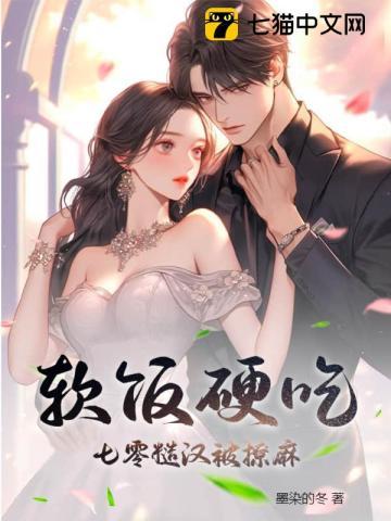 女主陆昭的