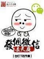 女主叫陆昭昭