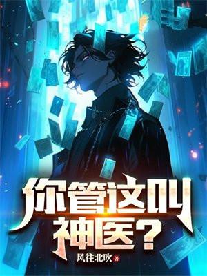 赵辰叶凰的