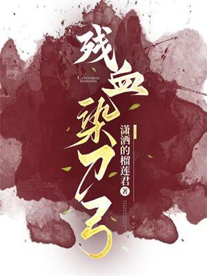 赵辰叶凰763.