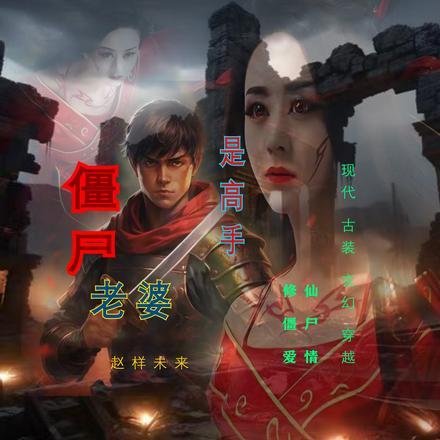 四合院我棒梗
