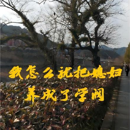 ncaa回国球员
