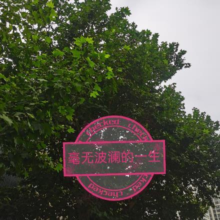 llj爷爷