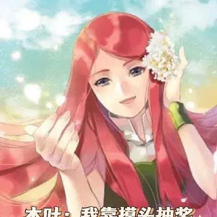 是双男主吗