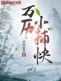 扫黑风暴从逮捕丈母娘开始