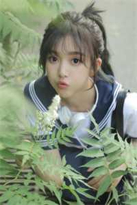 书名秘密