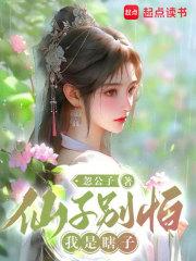 天启灾年地球第一天队