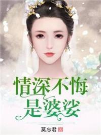 官场封疆基层公务员到省委书记 毛山小道