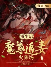 空岛求生动画片是什么