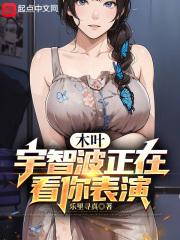 龙珠z模拟器